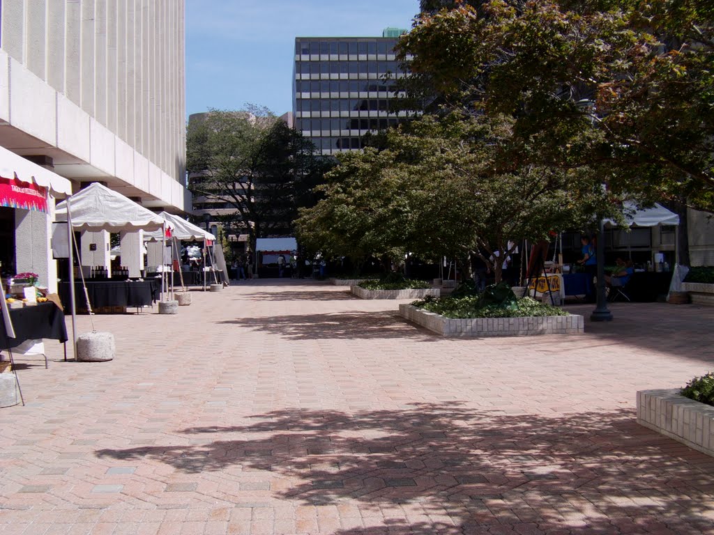 Vendor Tents, Vintage Crystal, 09/19/2010 by John Tagliaferro