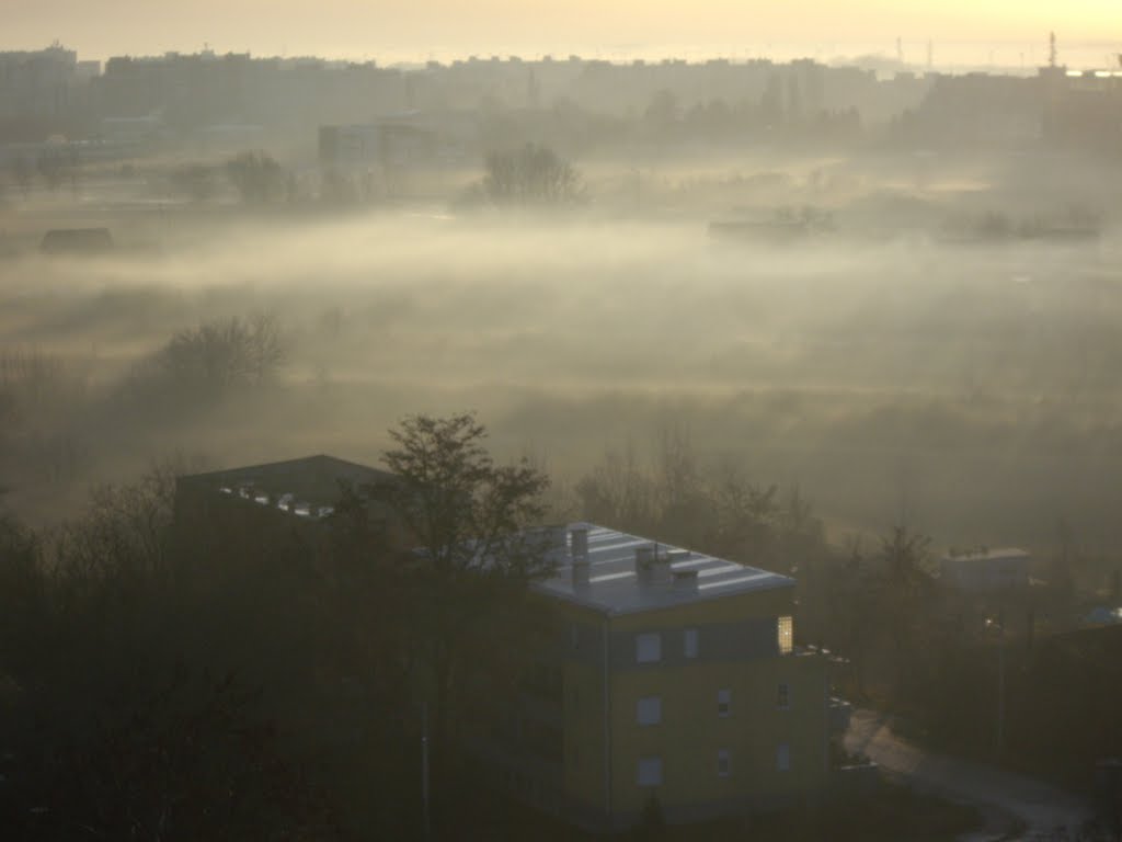 Jutarnja izmaglica Radmanovačka ,pogled sa Super A. by narentinac