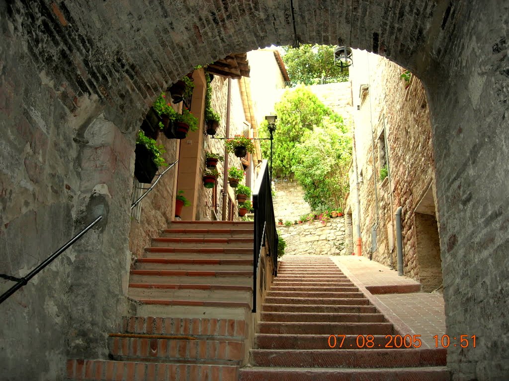 Assisi by roby b