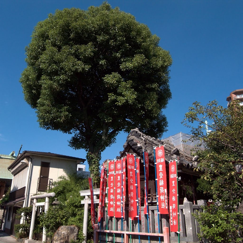 Tenso Shrine; Horikiri Katsushika-ku, Tokyo by mountaincup7903