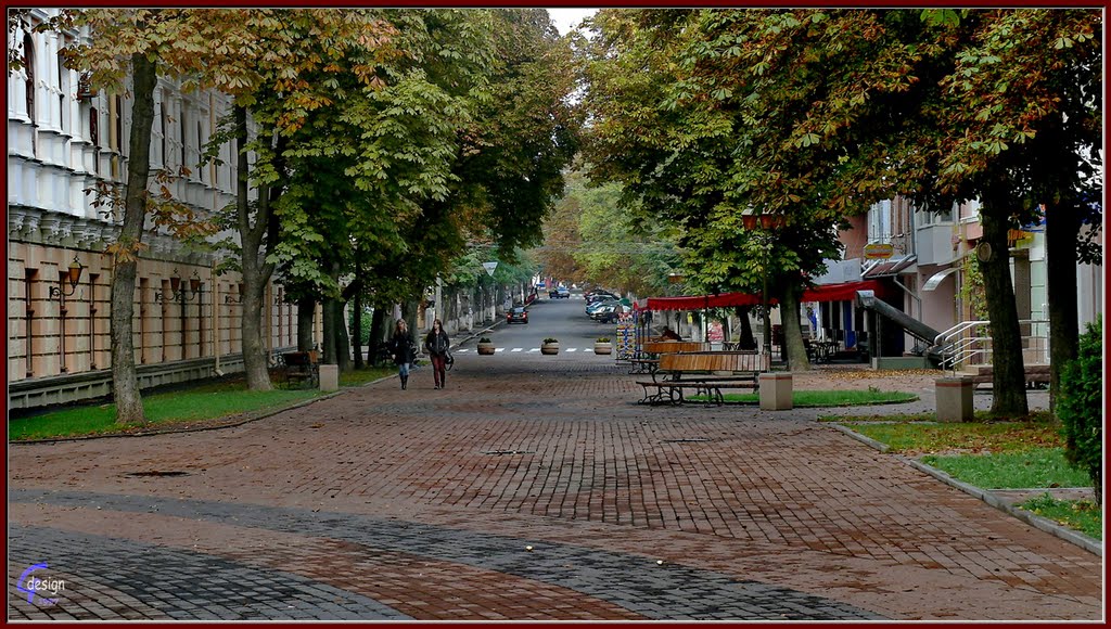 Моя вулиця ім. М.Грушевського / My Mykhailo Hrushevskyi st. 27.12.2009 12:25:12 Найстаріша вулиця Вінниці / The oldest street in Vinnytsya by Gre Gor'y