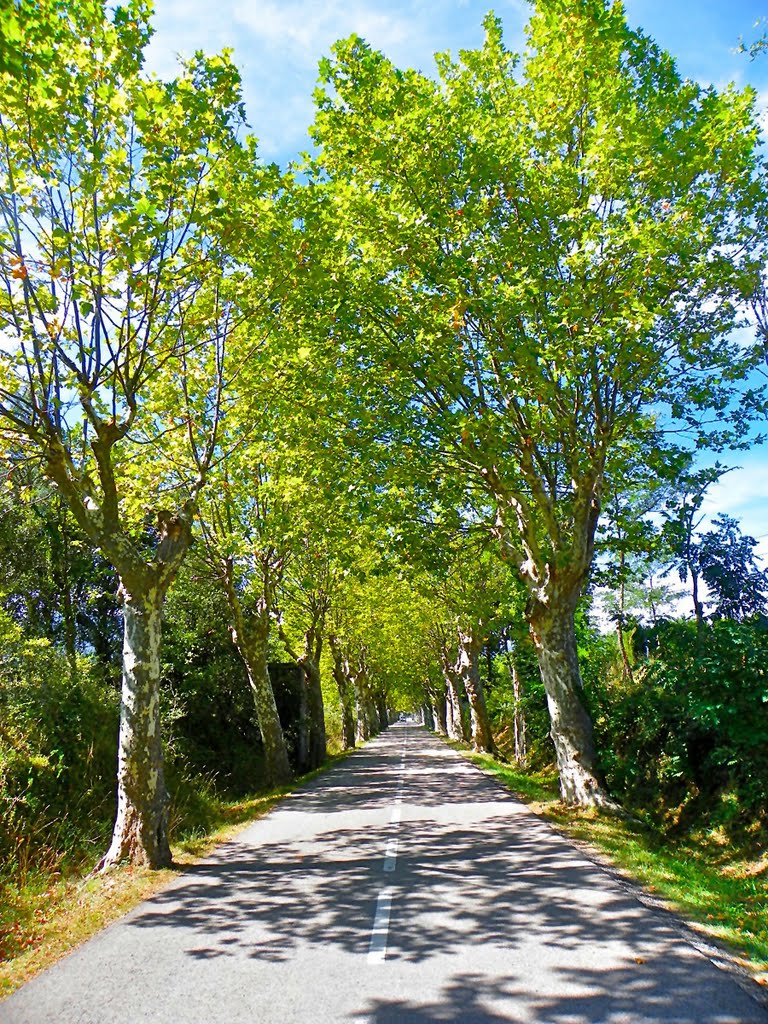 Carretera entre Darnius i Maçanet de Cabrenys by jordi domènech