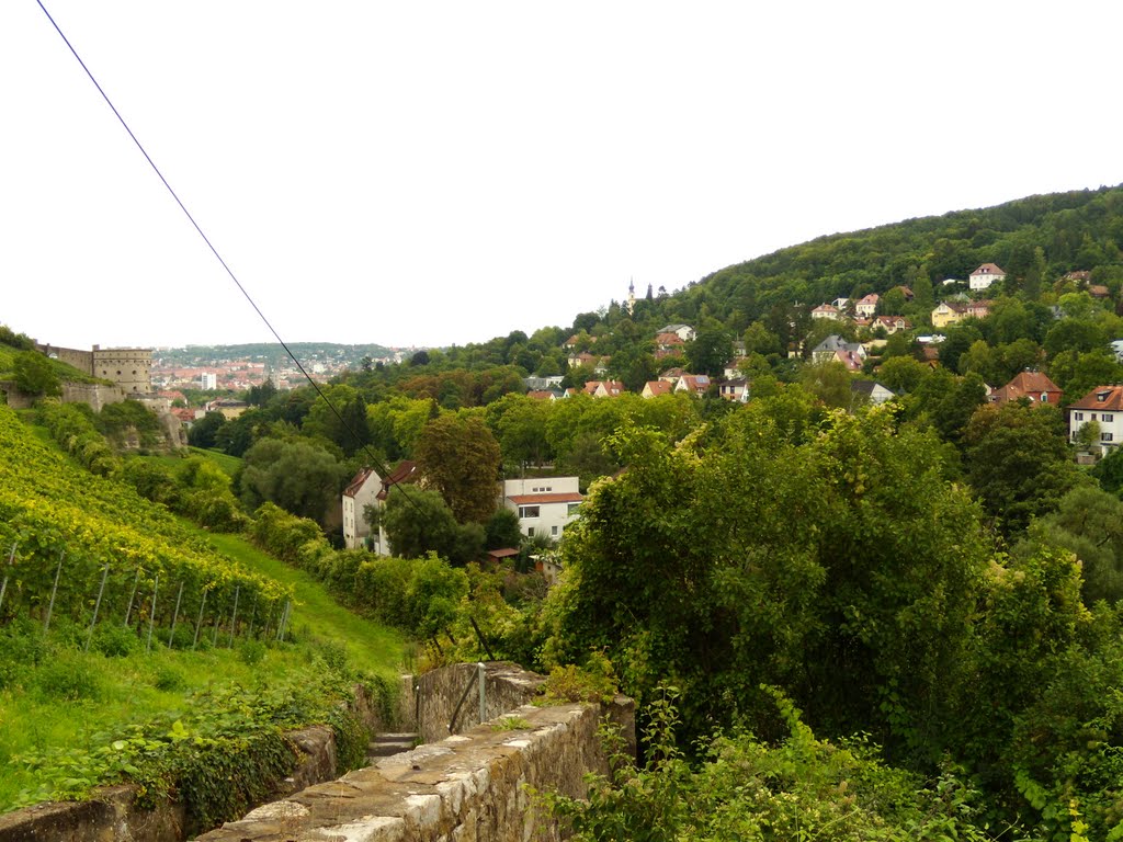 Walking on Marienberg Hill, Würzburg, 23 Aug 2010 by anagh