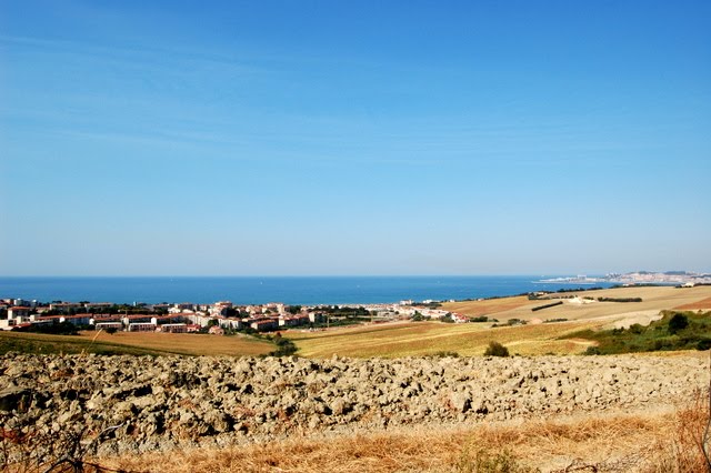 Ancona porto by prontocastelli