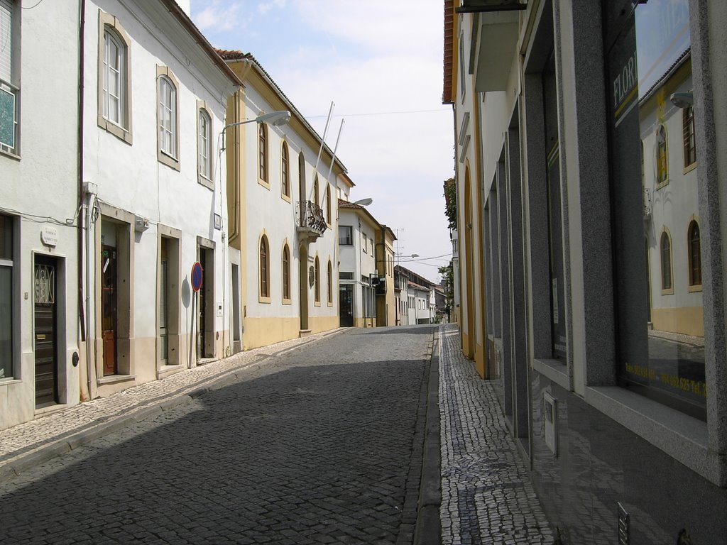 Rua de Proença a Nova by Toze1966