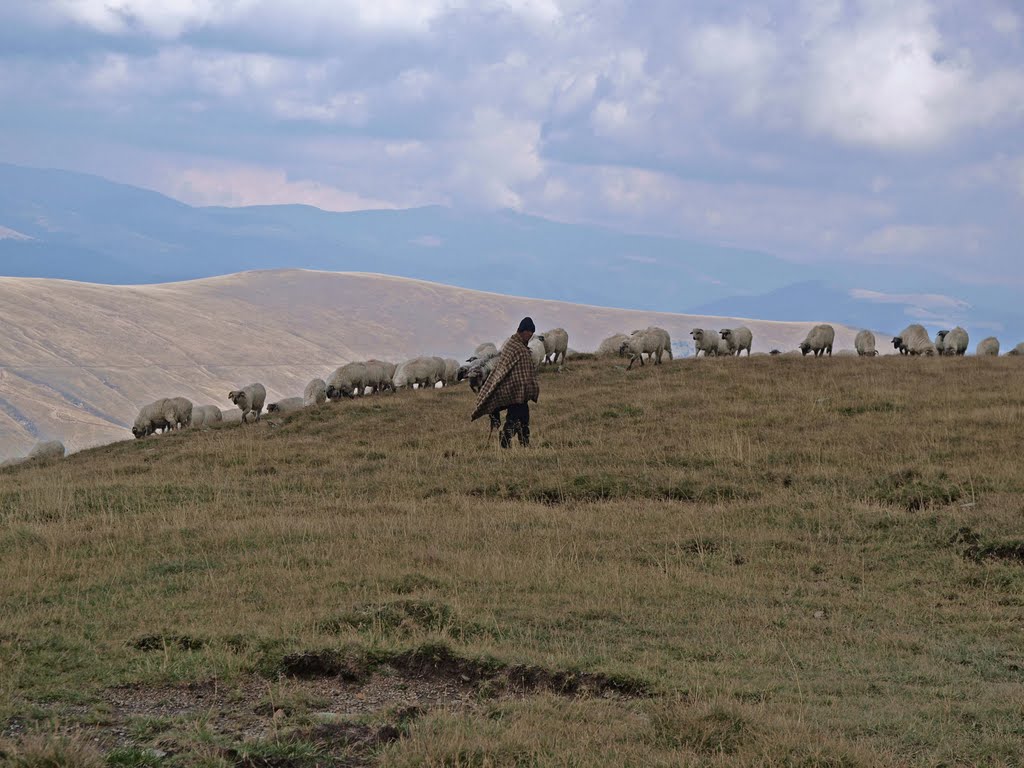 Romiania, mountains, transalpina by Jan Astner