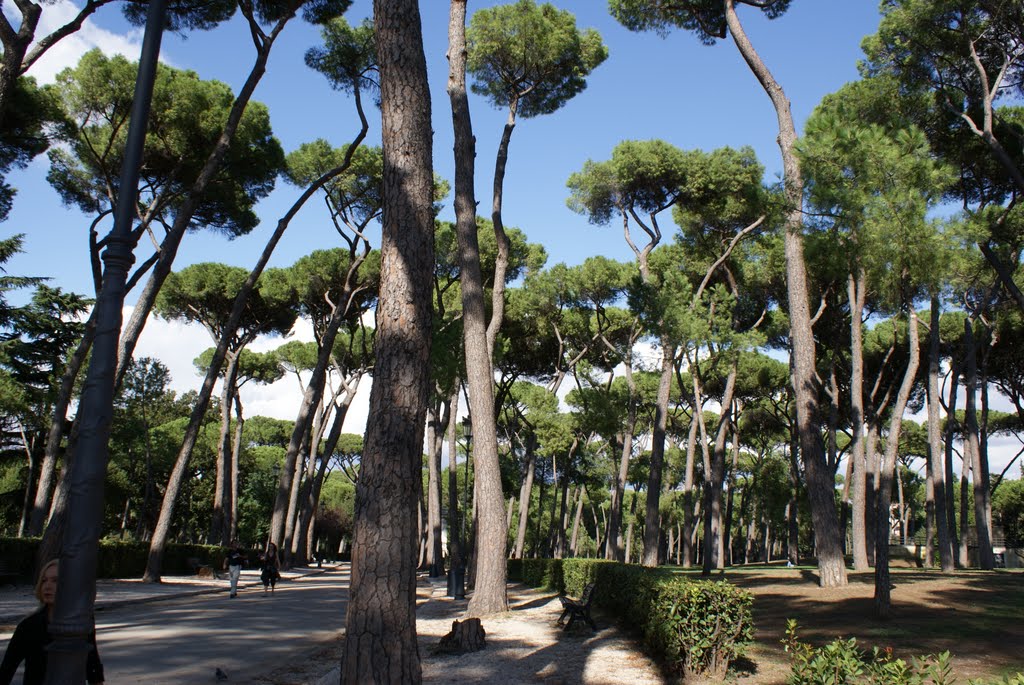 Villa Borghese - Roma/Italia - Septembre, 2008 by carlosalbertos