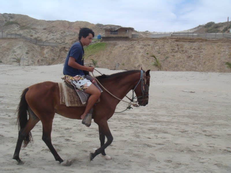 Cabalgando - Hotel Costa Blanca by Juanjocho