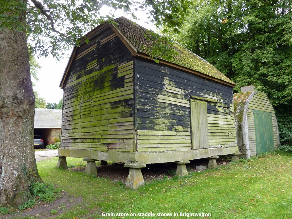 Grain store on staddle stones by Collin West