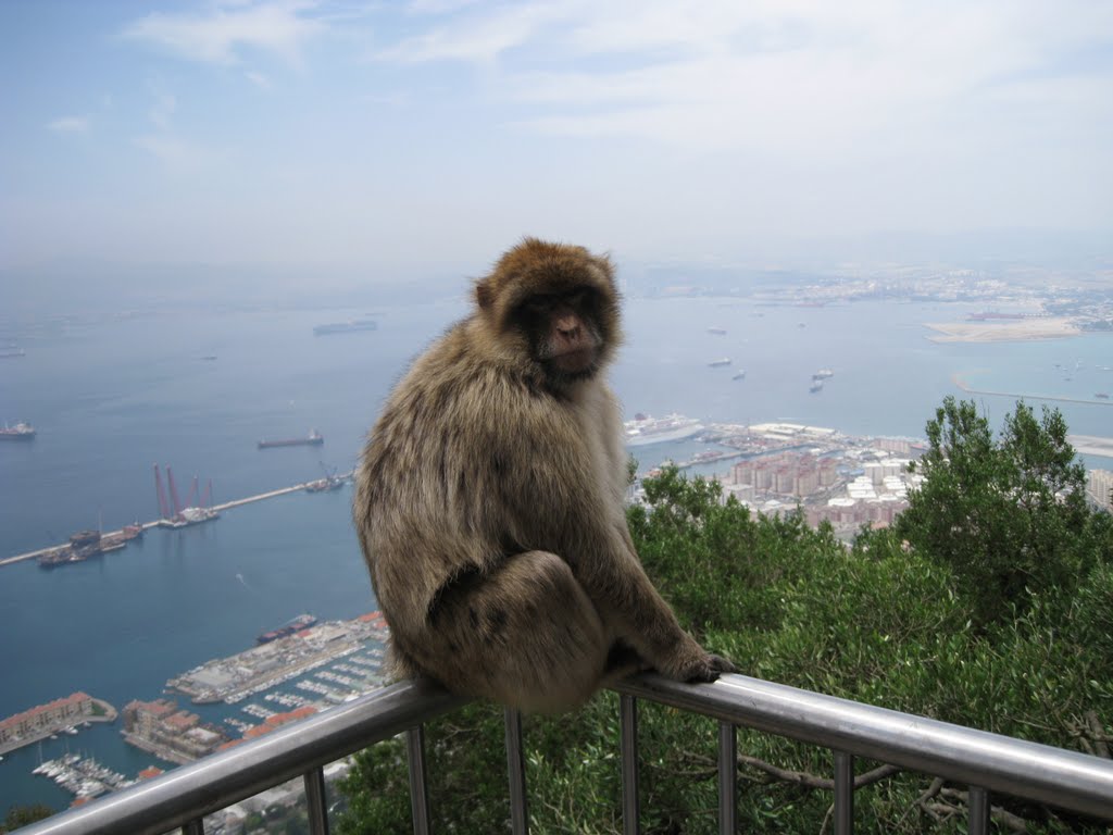 Gibraltar 06.2009 by tomm520