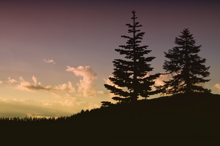 New Day at Lassen Volcanic by Vincent James