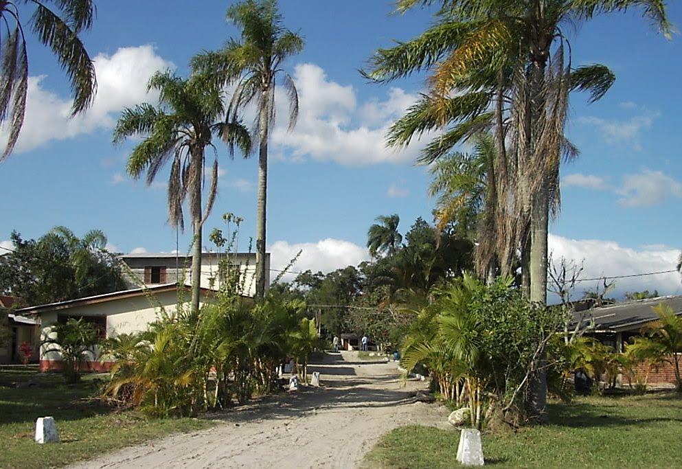 Ilha Comprida - São Paulo by Vanderlei Bissiato