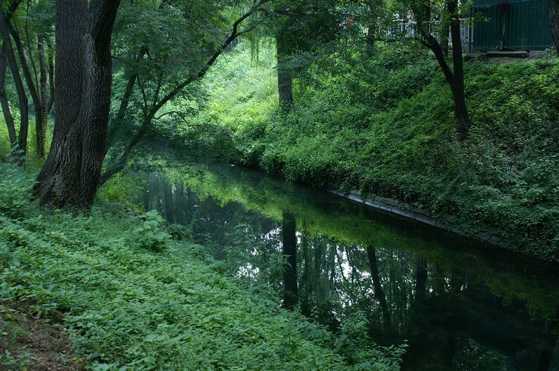 紫竹院公园 - 寂静小河 (Photo by Li Wei) by Shutter