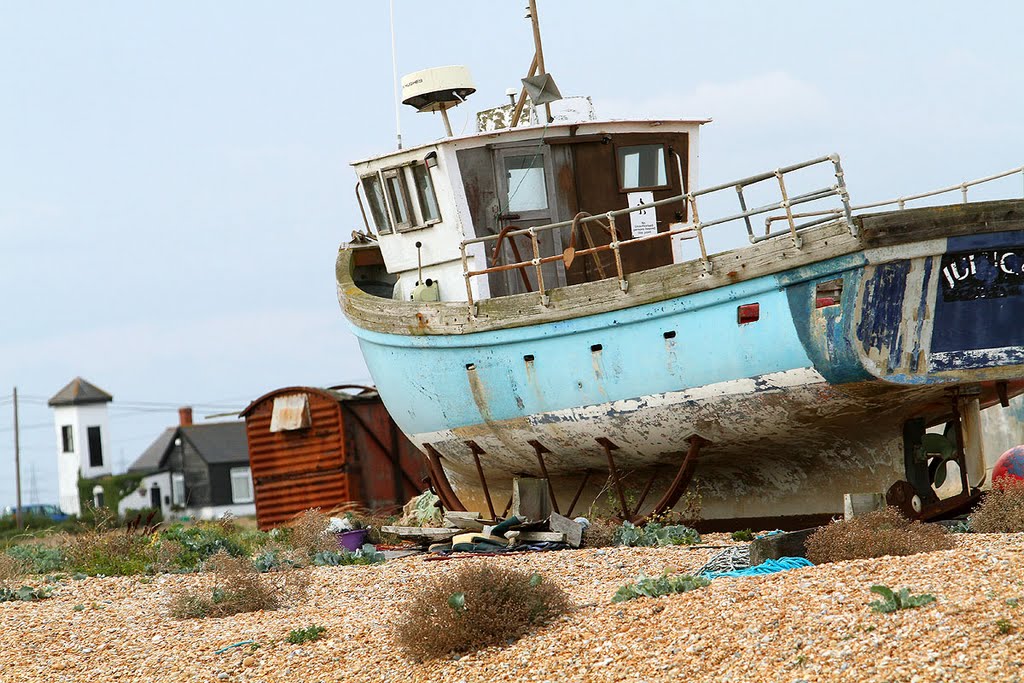 Dungeness by Wallgo.com