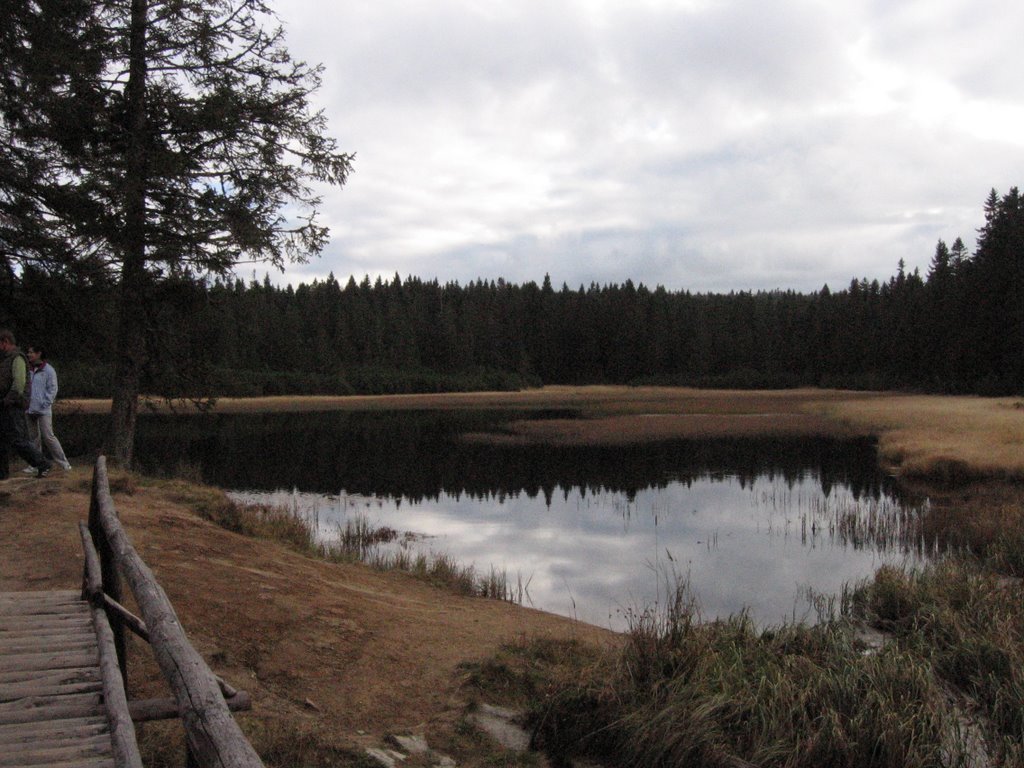 Črno jezero by alejos