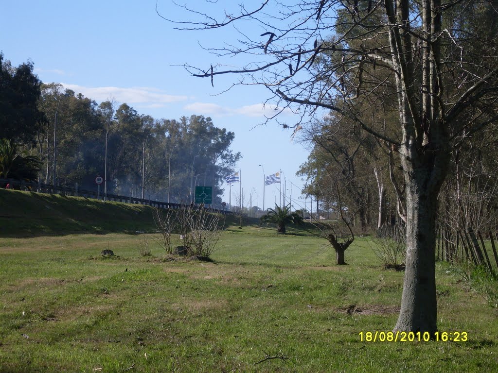 Ambos Pabellones Patrios El Primero Y Actual Visto Desde El Parque Artigas by Torres Peres Miquel