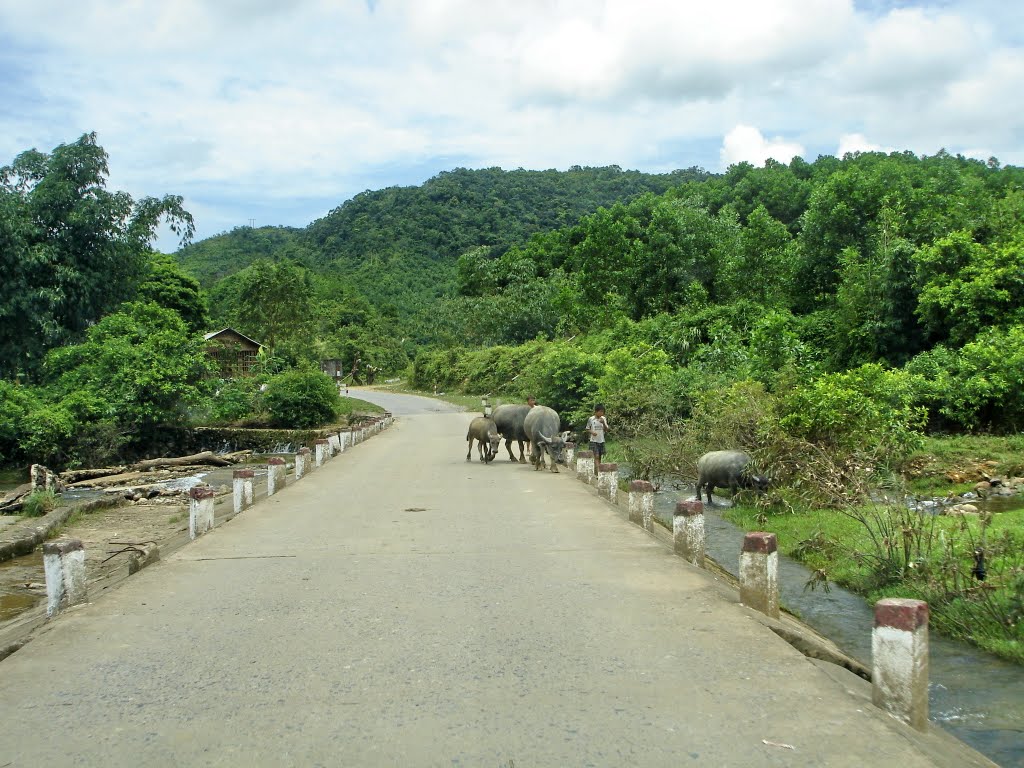 Ngầm Quảng Đức by Che Trung Hieu