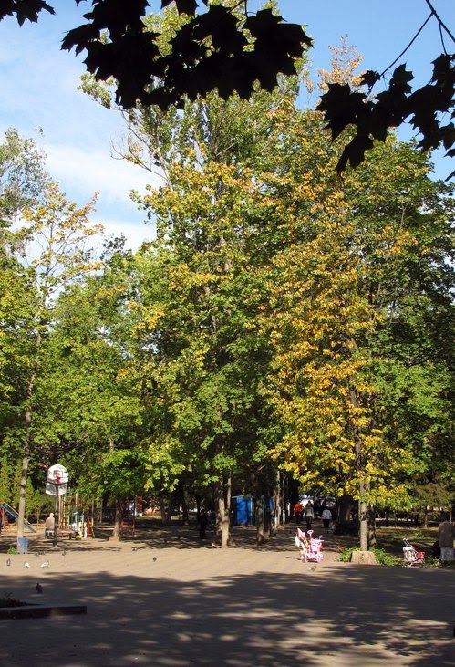 September noon in the park by Sarychev Sergei