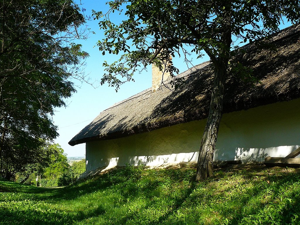 Zsúpfedeles ház - Thatched house_2 (szabadtéri múzeum - open-air museum) by Tamás Borbély