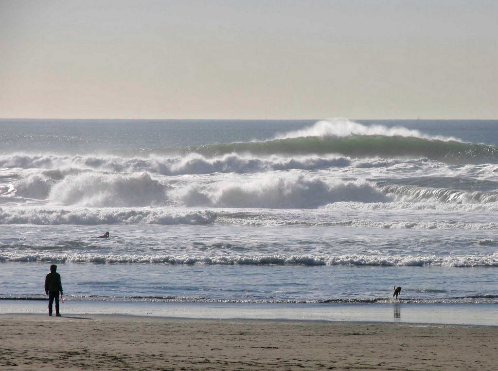 Pacific Surf by Alan Shaw of Halifax