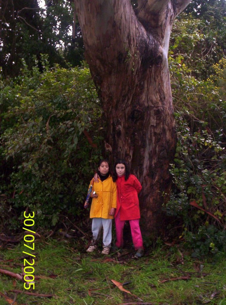 Geocahing en Pedro del Río Zañartu by José Pedro Martínez