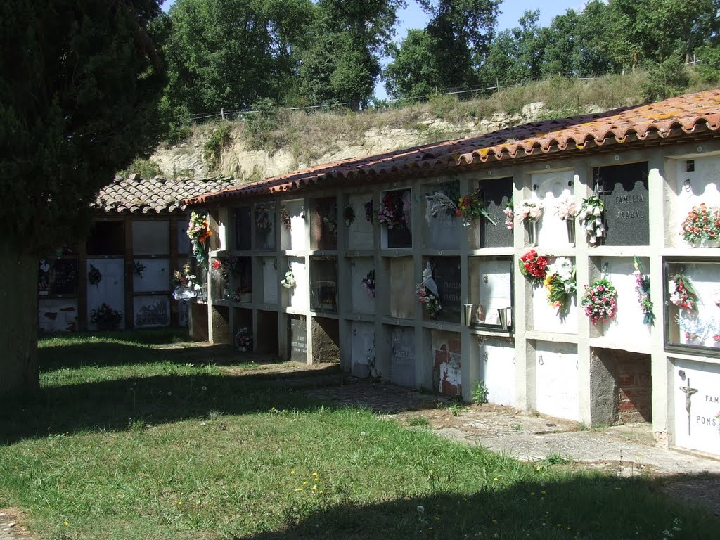 COLLSUSPINA - CATALUNYA - ESPAÑA by Abdel Re