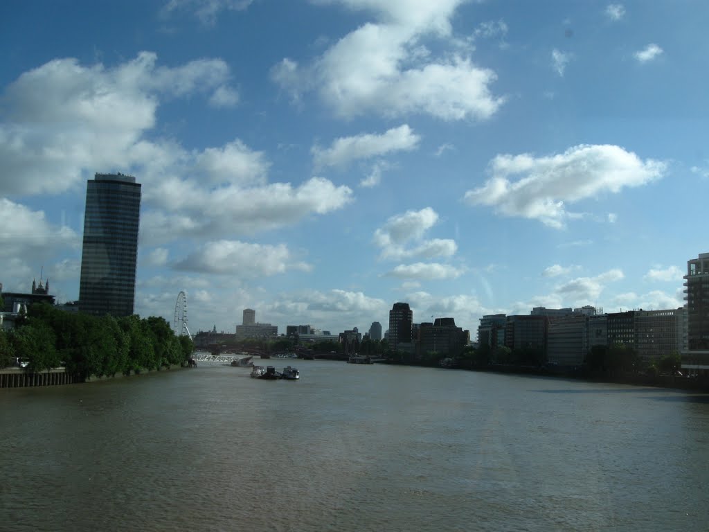 Tamisa in aval de Vauxhall Bridge 16.07.10. by Manoliu Ioan