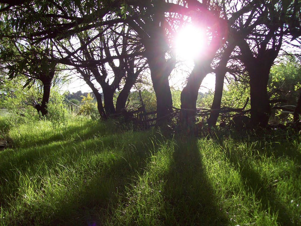 Loncopué Department, Neuquen, Argentina by SUSICOLORADA