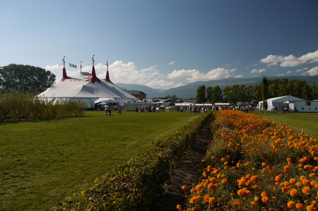 Cirque KNIE.ch à Yverdon by De TobyNET