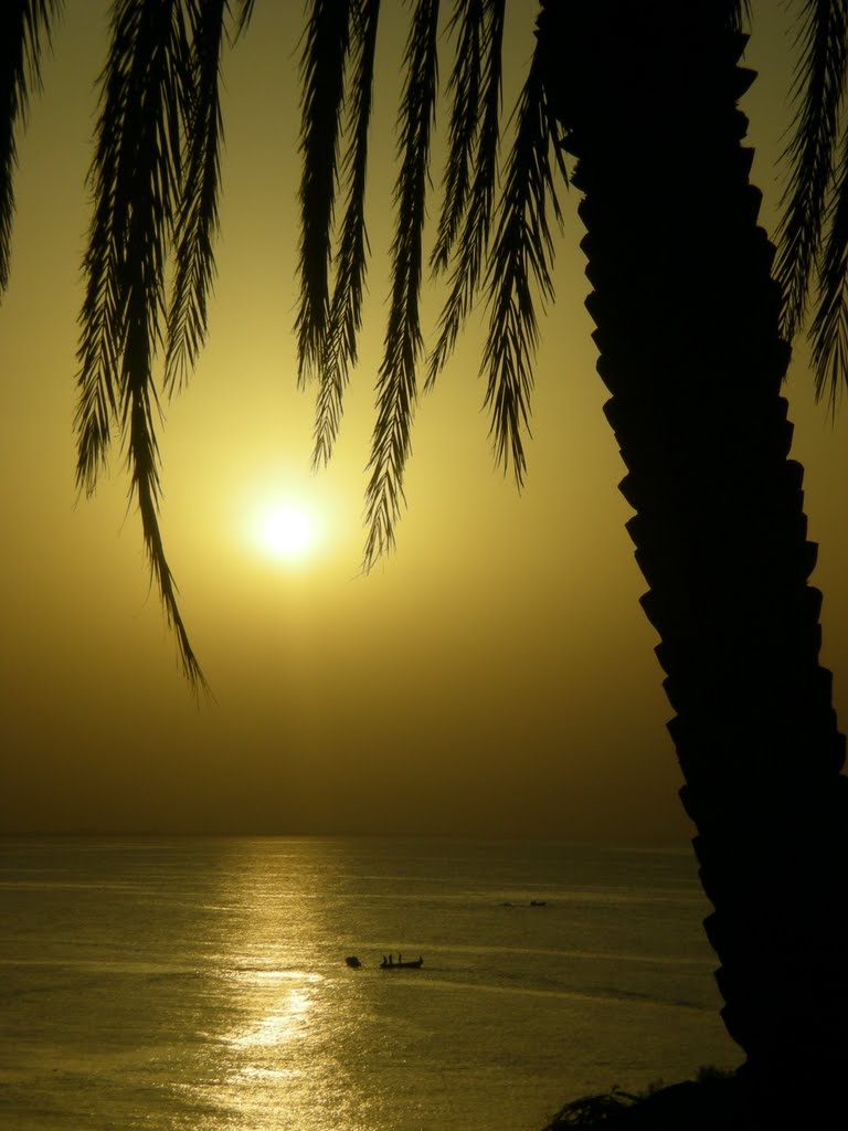 Fishing at Sunset, Muscat by Saz