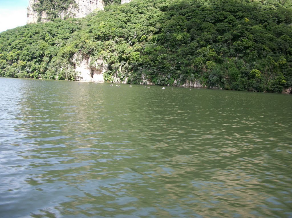 Cañon del Sumidero Chiapas -2 by igariba2801