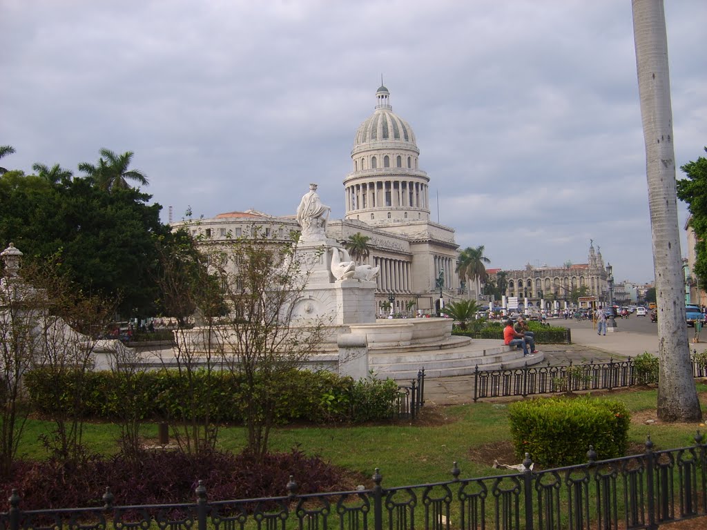 CAPITOLIO AL LADO DEL PARQUE CENTRAL by natxoblázquez