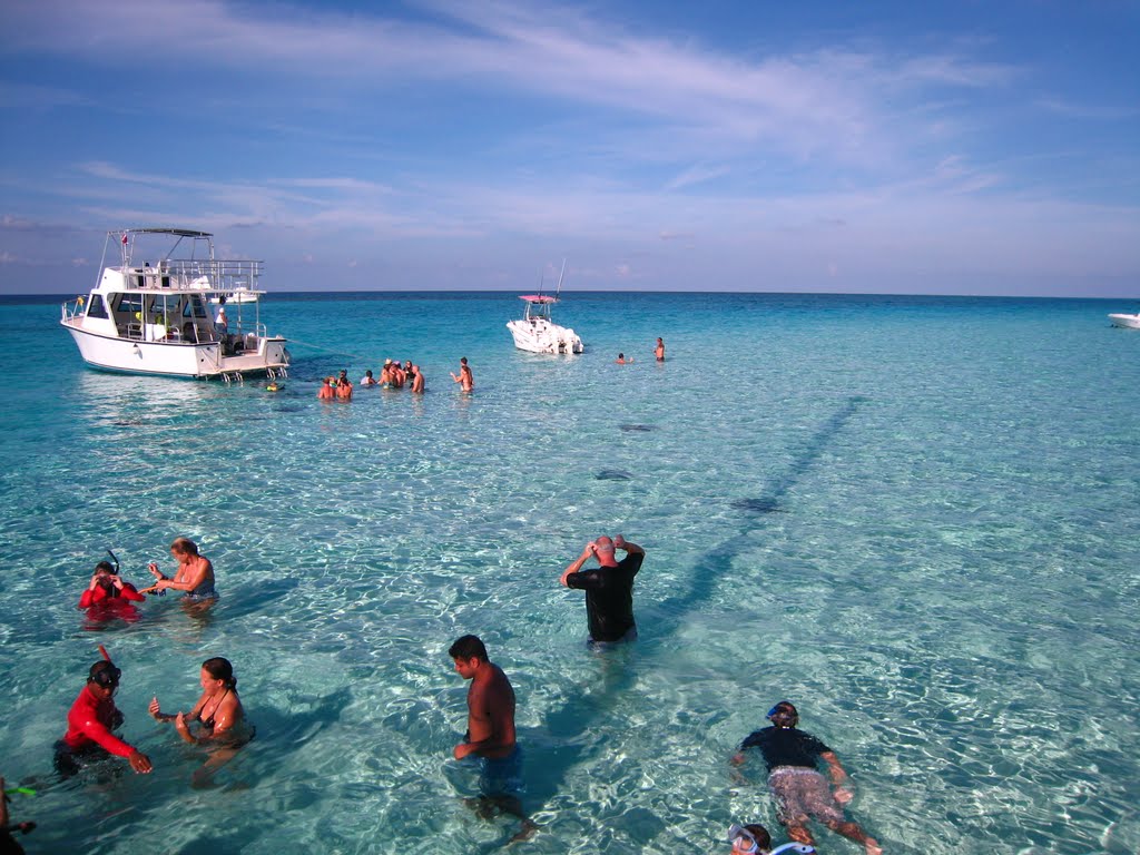 Stingray City, Grand Cayman by Andreavanr