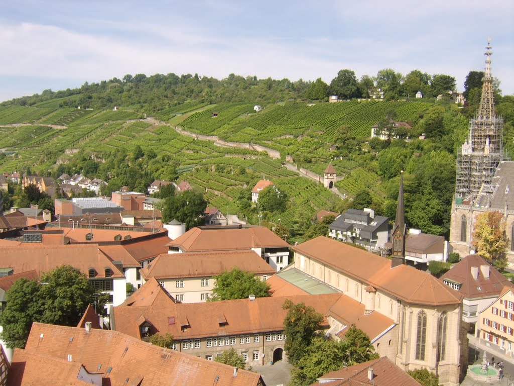 Esslingen Neckarhalde by Fr_nk B_hr_ng_r