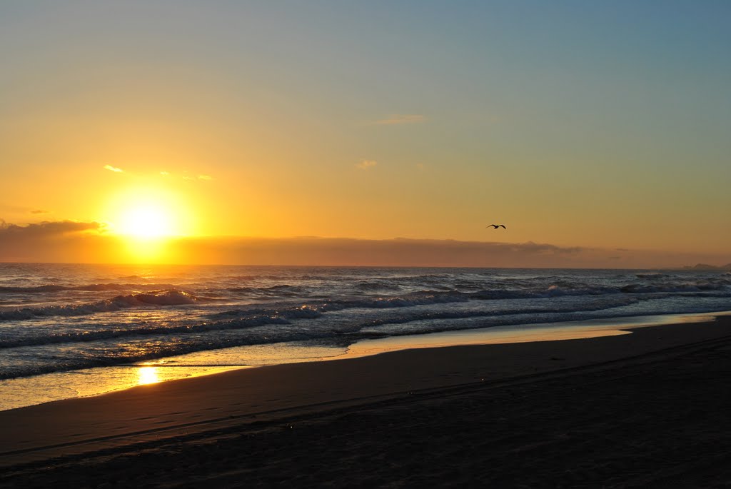 Playa Oliva Nova by agcheda