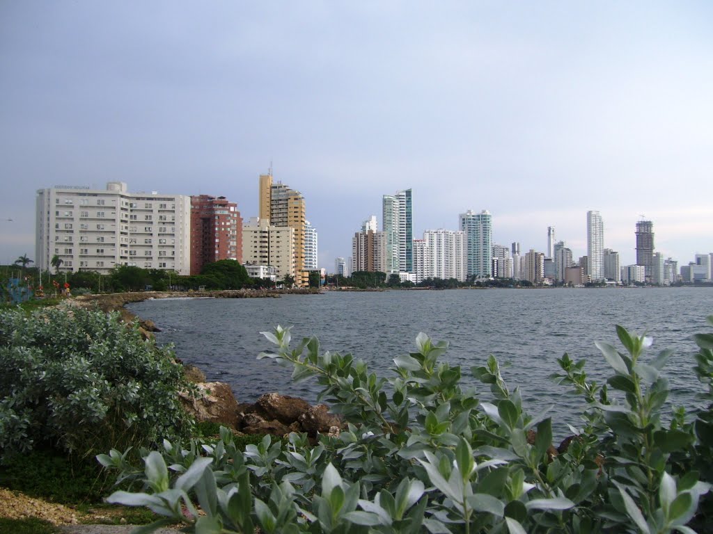 Centro, Cartagena, Bolivar, Colombia by nestor lisandro Glas