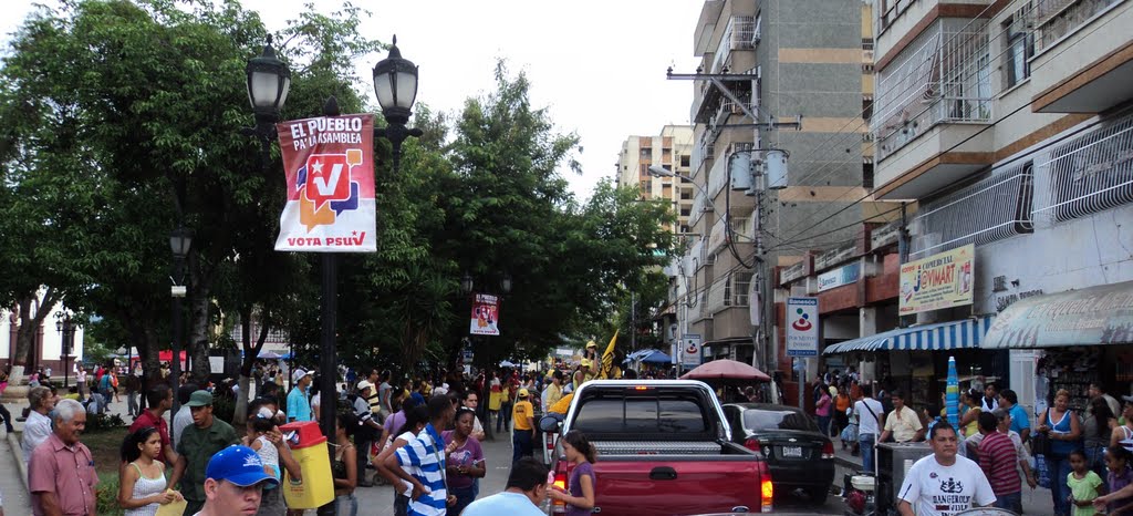 Avenida Ayacucho a nivel de la Plaza Bolívar. by Pringles