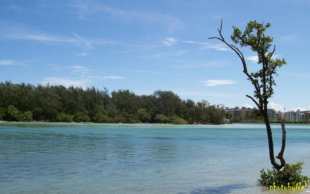 Cabo Frio - Ilha do Japonês by Nel by Nel Araujo