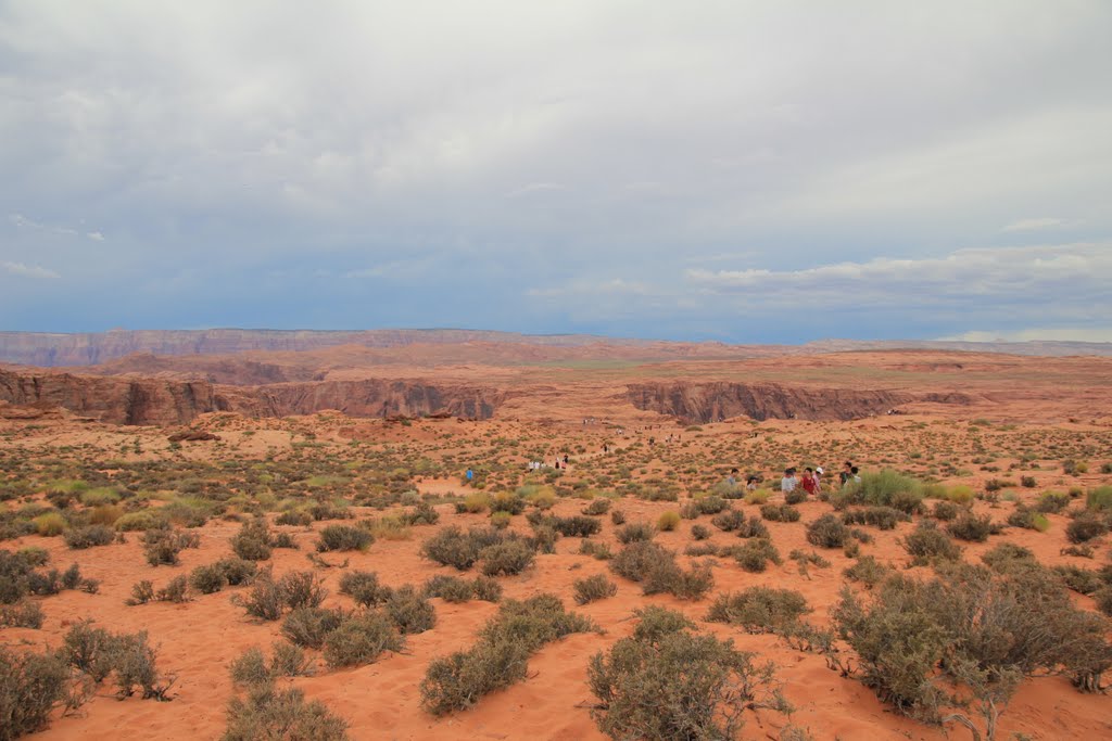 Trail to Horseshoe Bend by Eric Bock