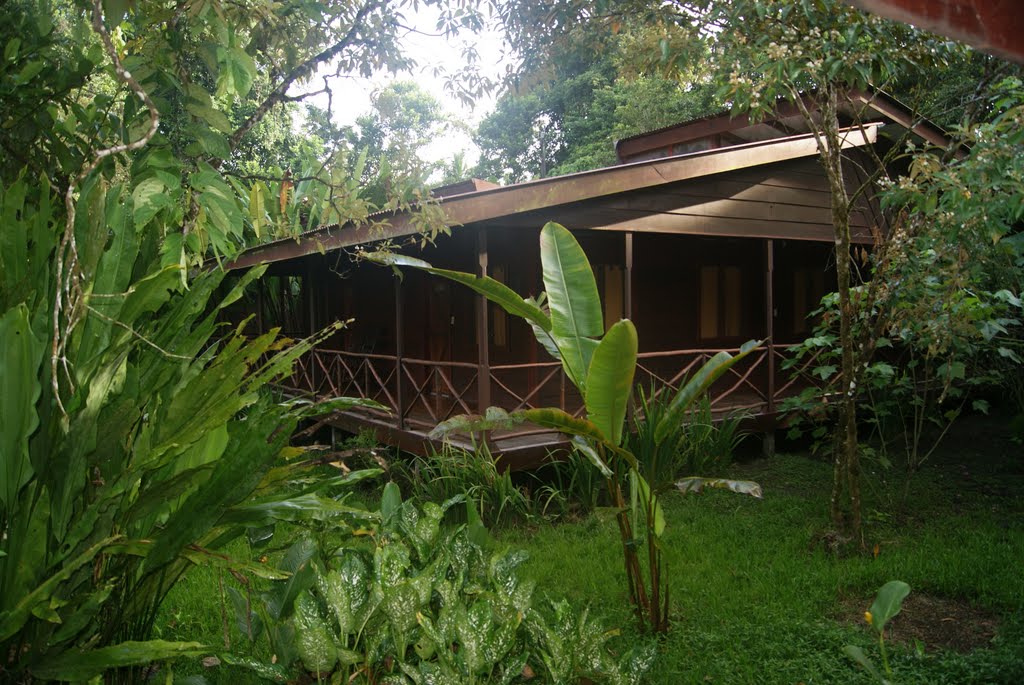 Pachira Lodge.- Tortuguero - Costa Rica by Joseba Etxebeste