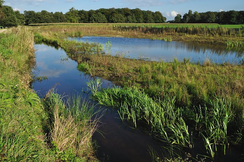 Nieuwe natuur langs de Regge by Jan Visser