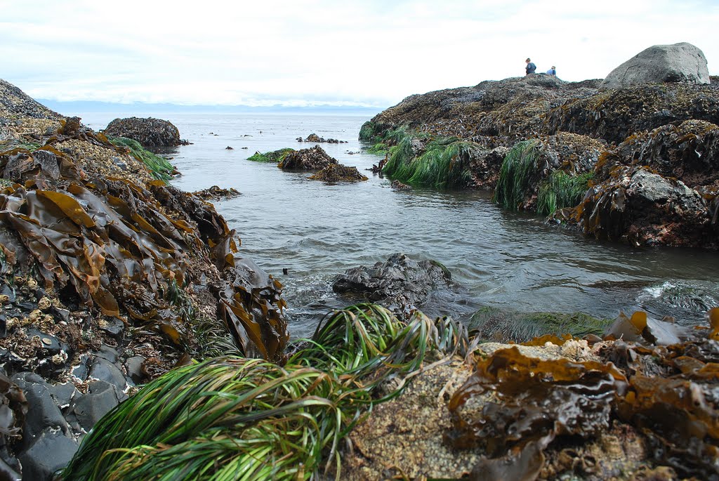 Strait of Juan de Fuca from Salt Creek County Park by C. Harmon