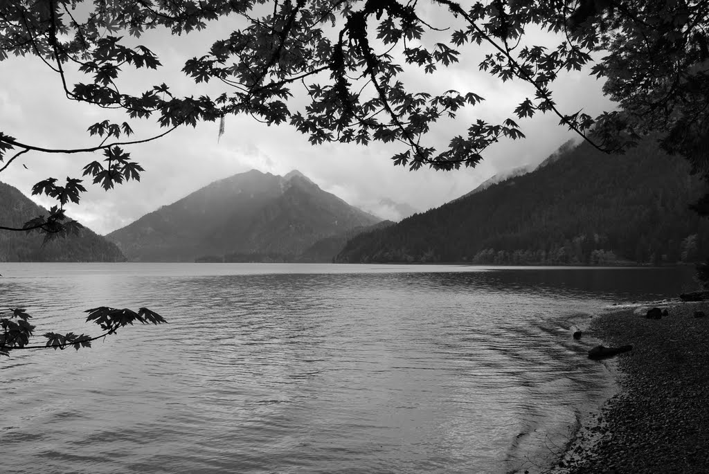 Mt. Storm King by C. Harmon