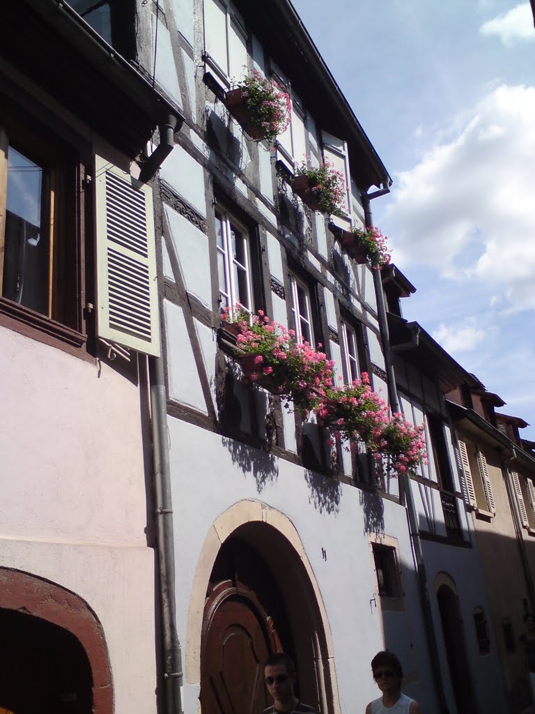 Fiori a Colmar by emilio granata