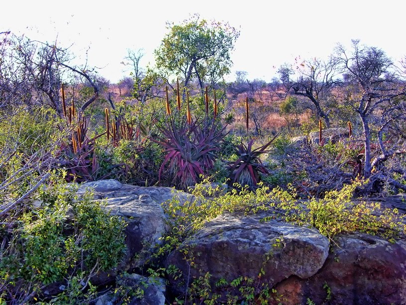 Above the Hippo Pools by James Houston-Mcmill…