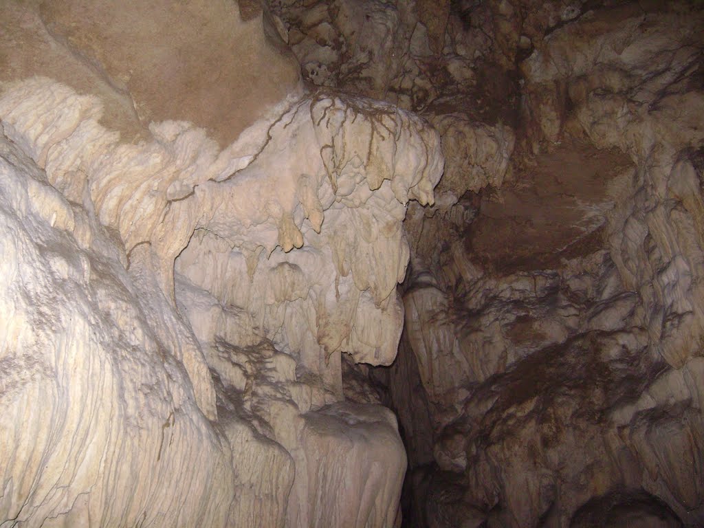 Tiger's Jaw at limestone cave by maheshkumar.cbn