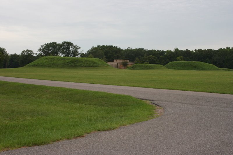 Mounds N, O, and P behind the museum. Moundville Archaeological Park. 7/6/2007 by Tim Carr