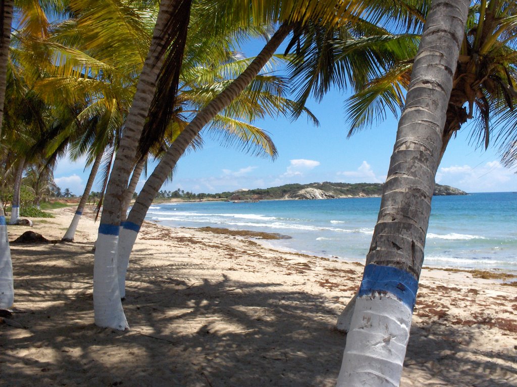 Playa El Tirano by José Leonardo Gonzál…