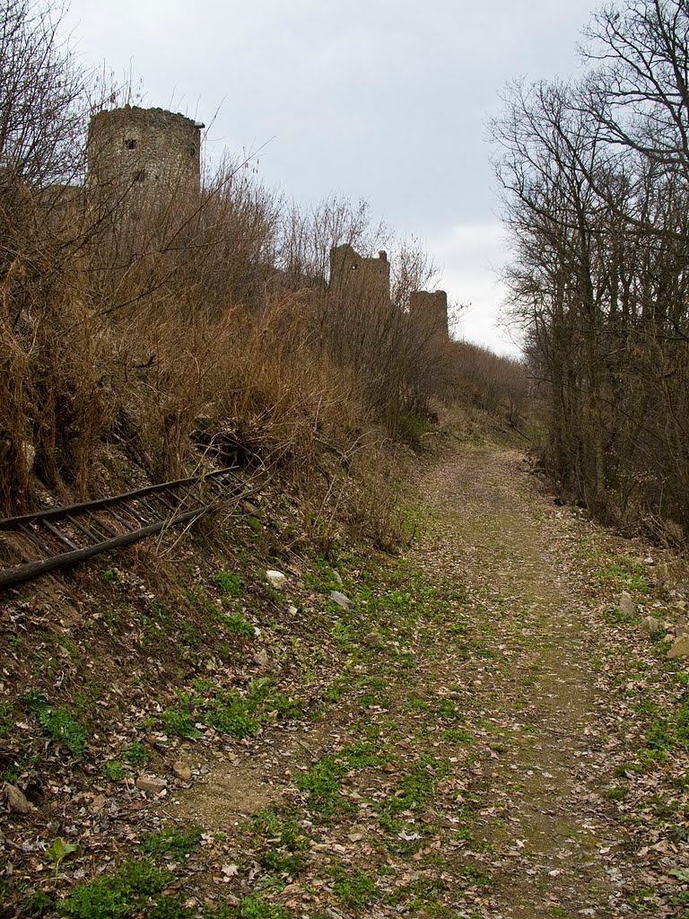 Šarišský hrad by PavolG