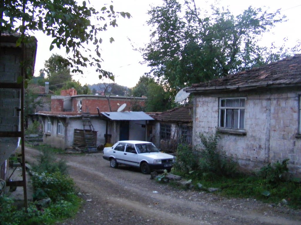 ORDU Fatsa Ilıca Kasabasına Bağlı KİRSYAN'dan Görüntüler 3 by İsmail ERASLAN